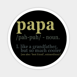 Papa Definition Magnet